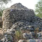 The Architect Bari