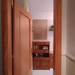 The Architect