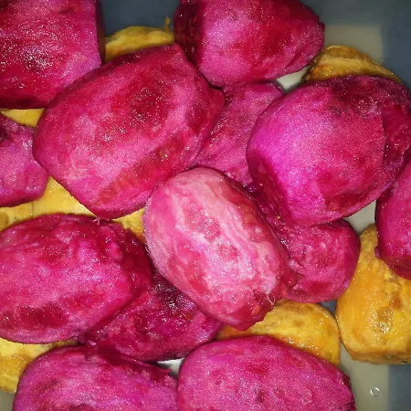 Bed & Breakfast The Architect