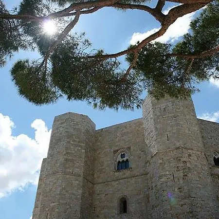 Panzió The Architect Bari