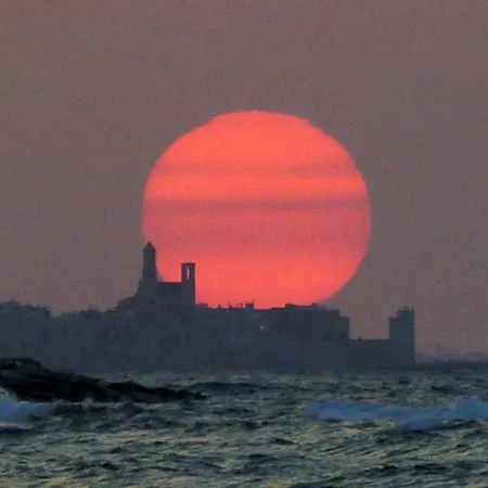 Bed & Breakfast The Architect