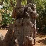 The Architect Frühstückspension