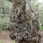 Frühstückspension The Architect Bari