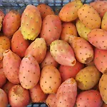 Frühstückspension The Architect