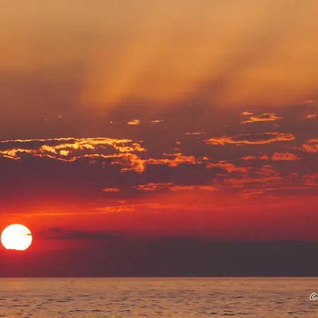 The Architect בארי