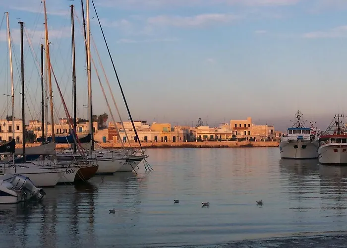 The Architect בארי