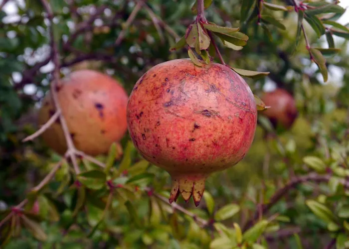 The Architect 3* Bari