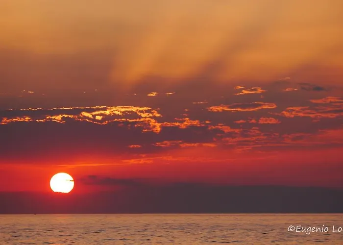 The Architect בארי