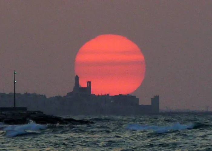 לינה וארוחת בוקר The Architect