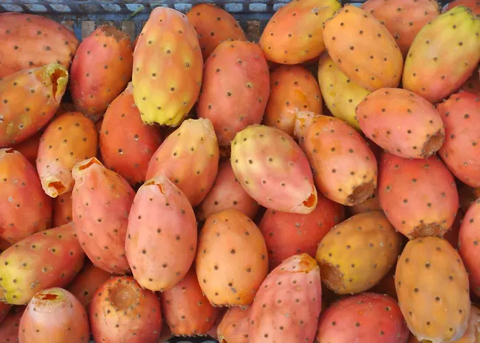 לינה וארוחת בוקר The Architect