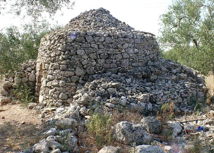 The Architect בארי